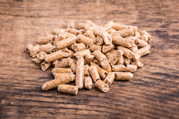 Vendita pellet 